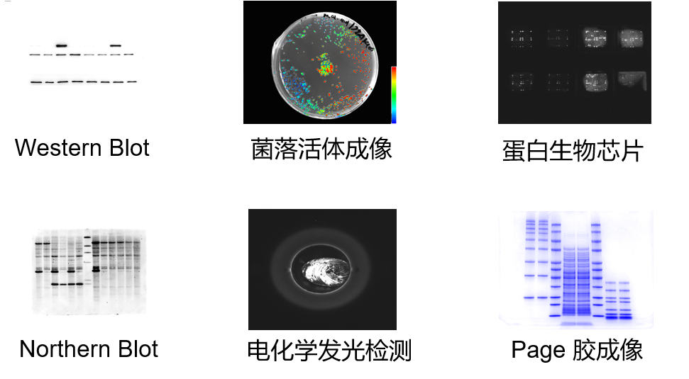 6383064668015819601442320.png